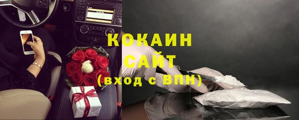 гашик Нея