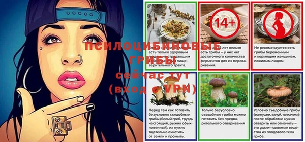 соль ск Надым