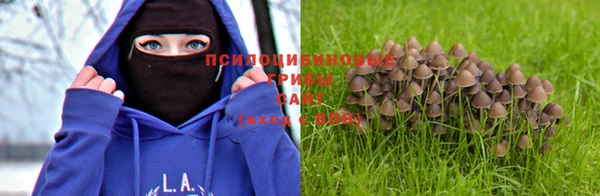 соль ск Надым